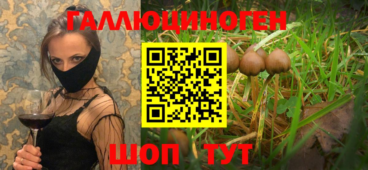 Галлюциногенные грибы прущие грибы Сосновый Бор